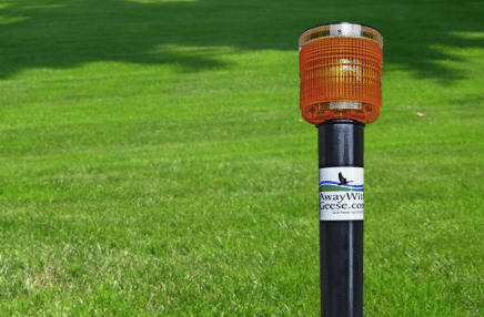away-with-geese-land-unit deterrent