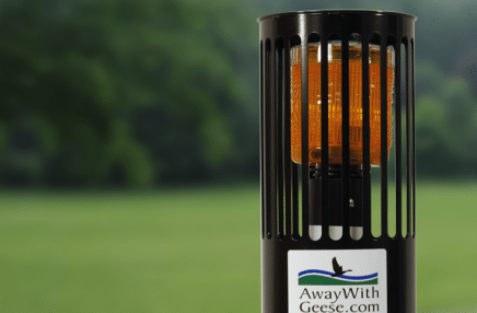 away-with-geese-sports-cage-detail deter