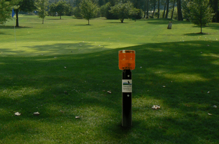away-with-geese-sports-unit deterrent