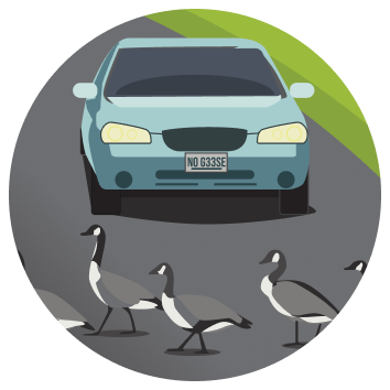 Stop traffic