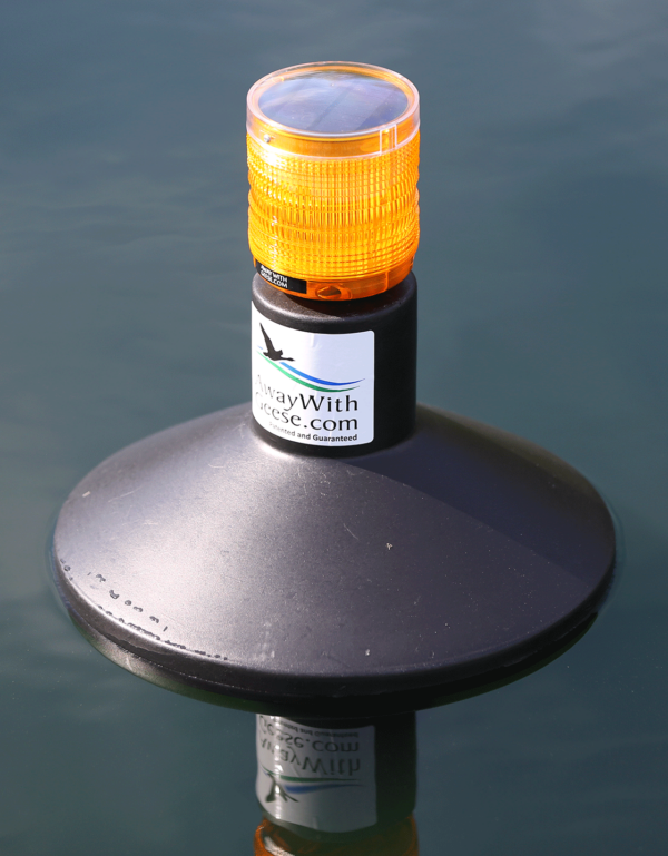 Water Unit - Image 2