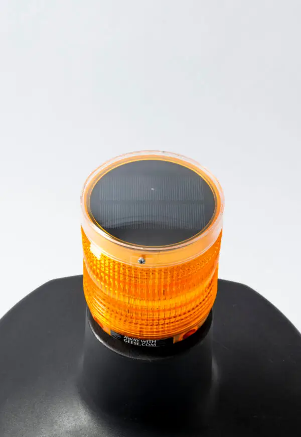 Roof Unit - Image 6