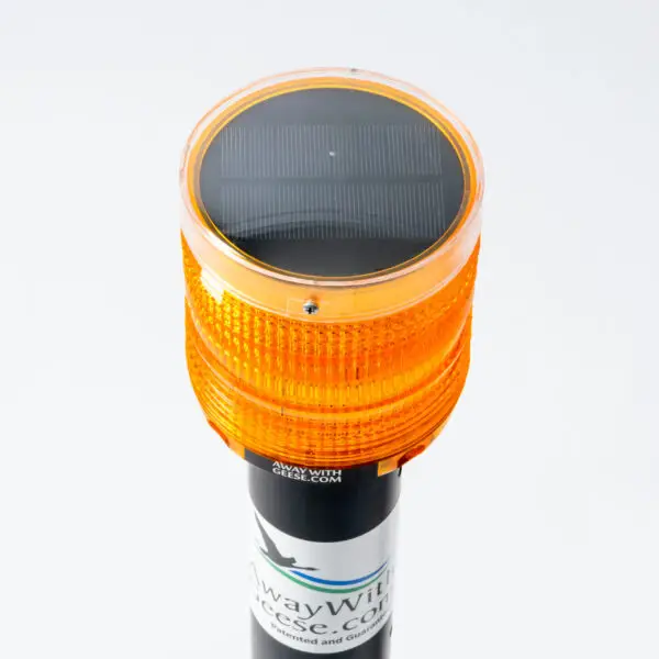 Dock Unit - Image 3