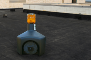 Away With Geese Roof Unit