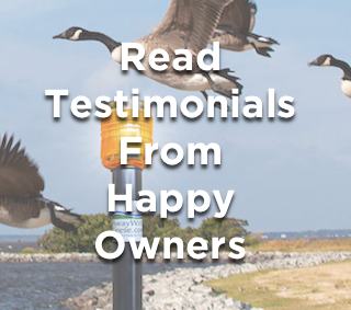 Read Real Success Stories and Testimonials