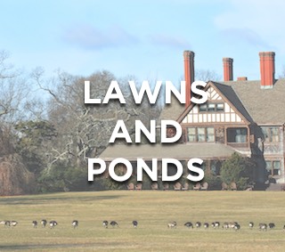 Keeping Geese From Residential Lawns, Ponds, and Lakes